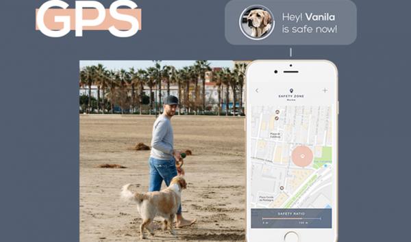 Gosi, un collar para tener localizada a la mascota que recauda más de 20.000 euros