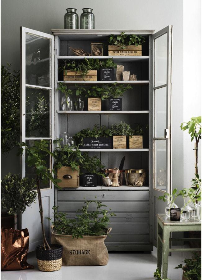 Plantas en el armario