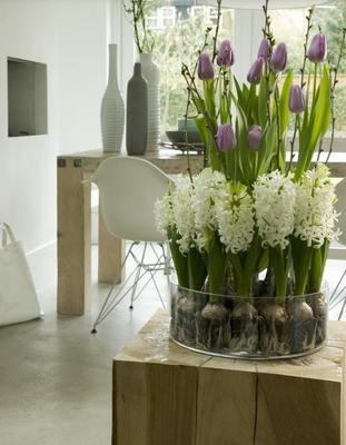 Decora la casa con bulbos durante todo el año | Decoración