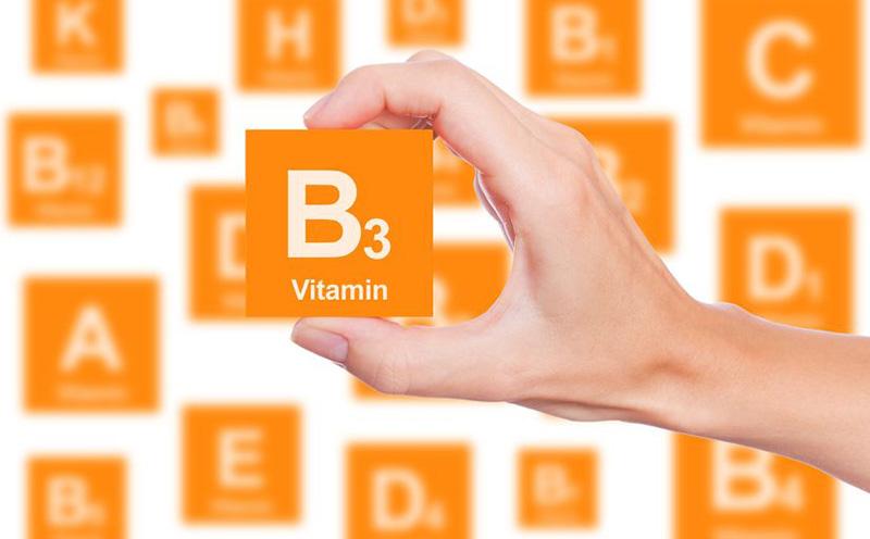 Vitamina B3 Niacina