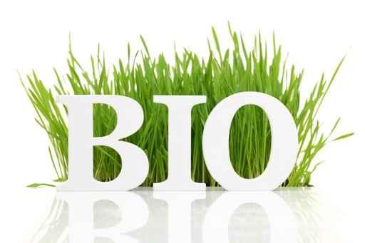 BIO vida por Olga Carrera Blogger Madrid