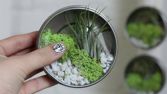DIY_Mini_terrarios_para_colgar