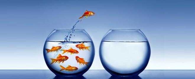 la gente odia tu web