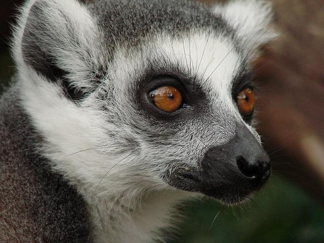 viajar-madagascar