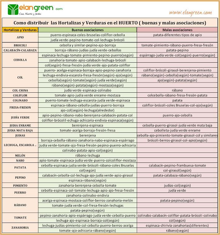 distribucion-hortalizas-verduras