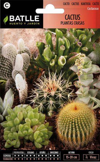 Cactus Plantas Crasas Variadas