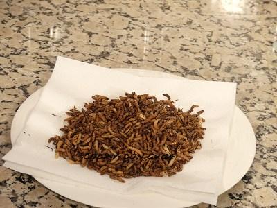 arroz salvaje frito