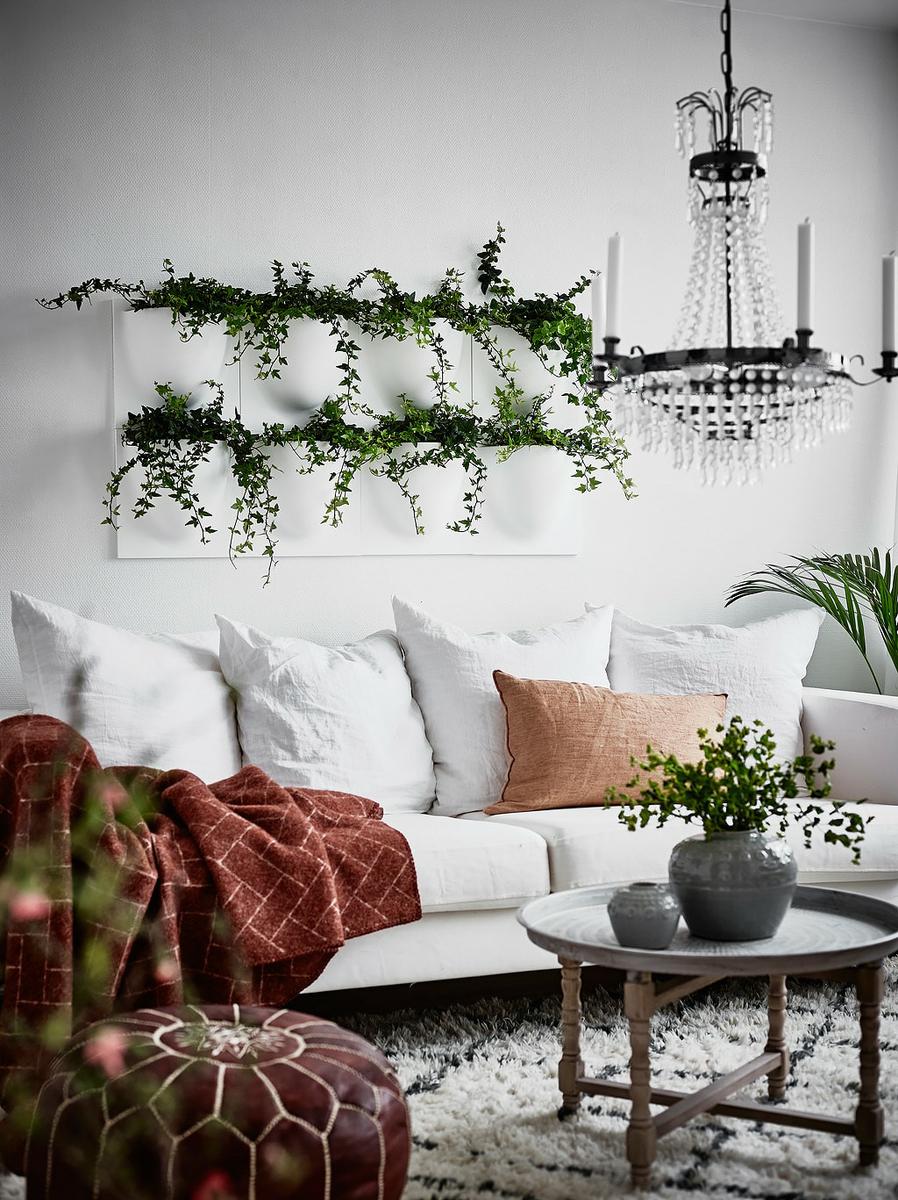 Decorar_con_plantas_de_interior_un_mini_piso_decoinspirción_decolook_detalle_decoración_pared