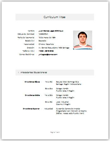 formato de curriculum vitae en word mixto