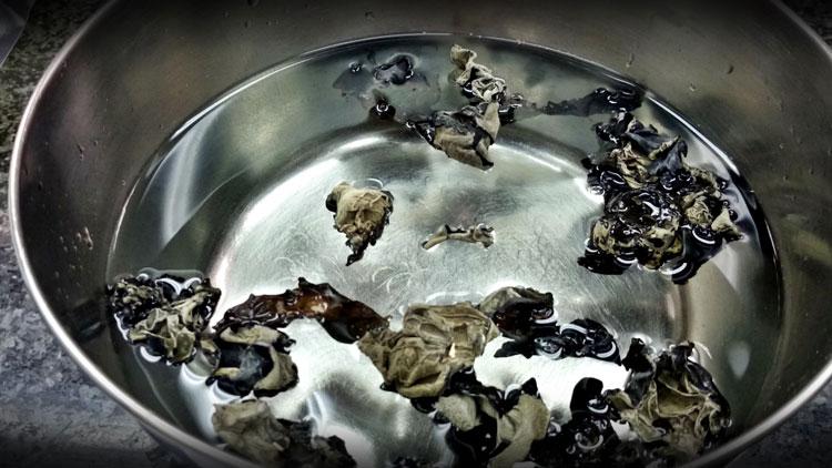 Receta setas orejas de madera negras