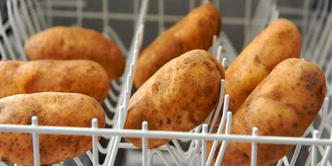 lavavajillas,-lavar-patatas,-lavar-tuberculos