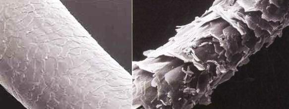 cuticula-sana-vs-dañada