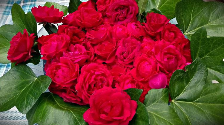 agua de rosas receta