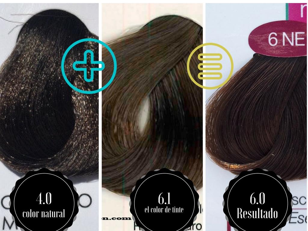 el castaño perfecto castaño perfecto como conseguir el castaño perfecto el castan o perfecto tutorial