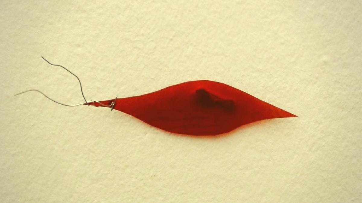 Árbol con botellas de plástico y ramas secas