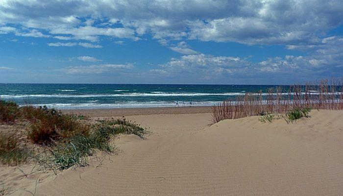 Playa de Alicate