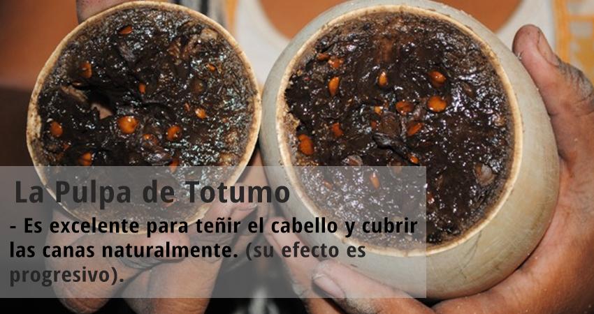 El totumo para alisar y teñir el cabello