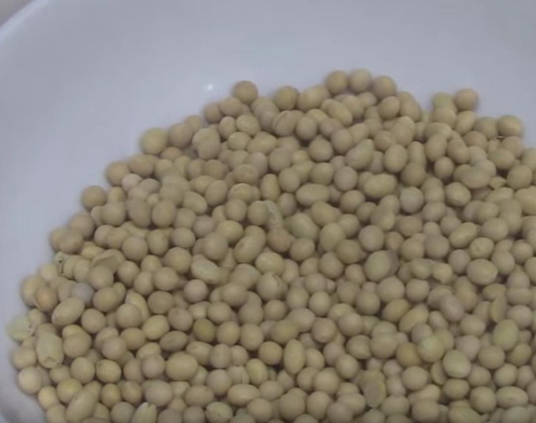 Semillas de soja para hacer leche de soja