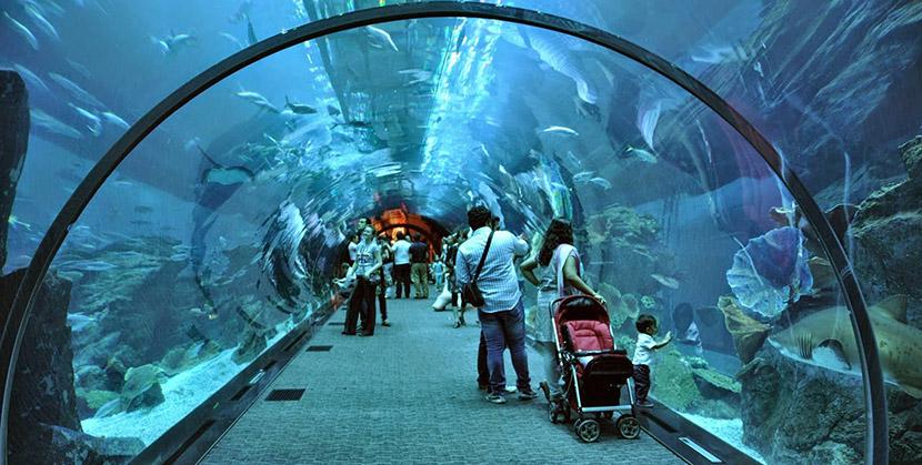 El acuario de Dubai