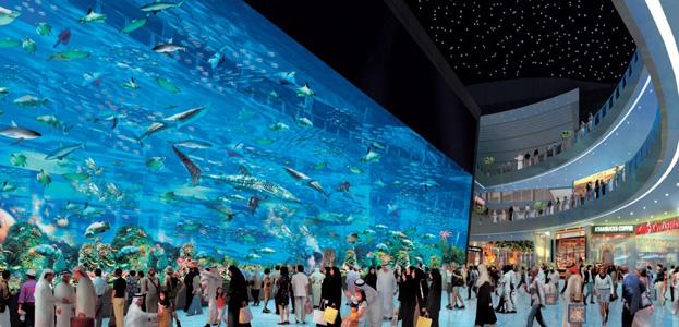 140 especies de animales en el acuario