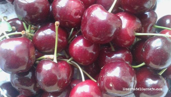 cerezas