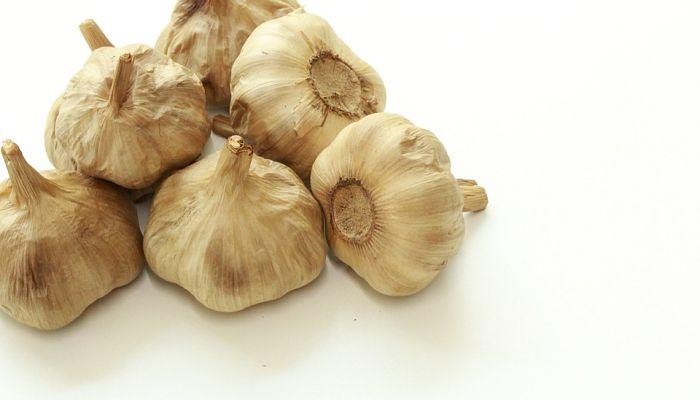 ajo negro propiedades