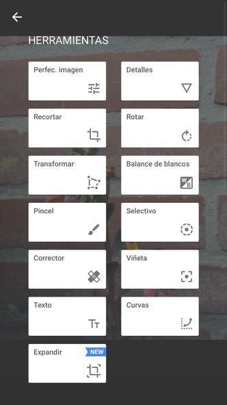 App favorita para editar cosas puntuales de perspectiva y color en fotos: Snapseed
