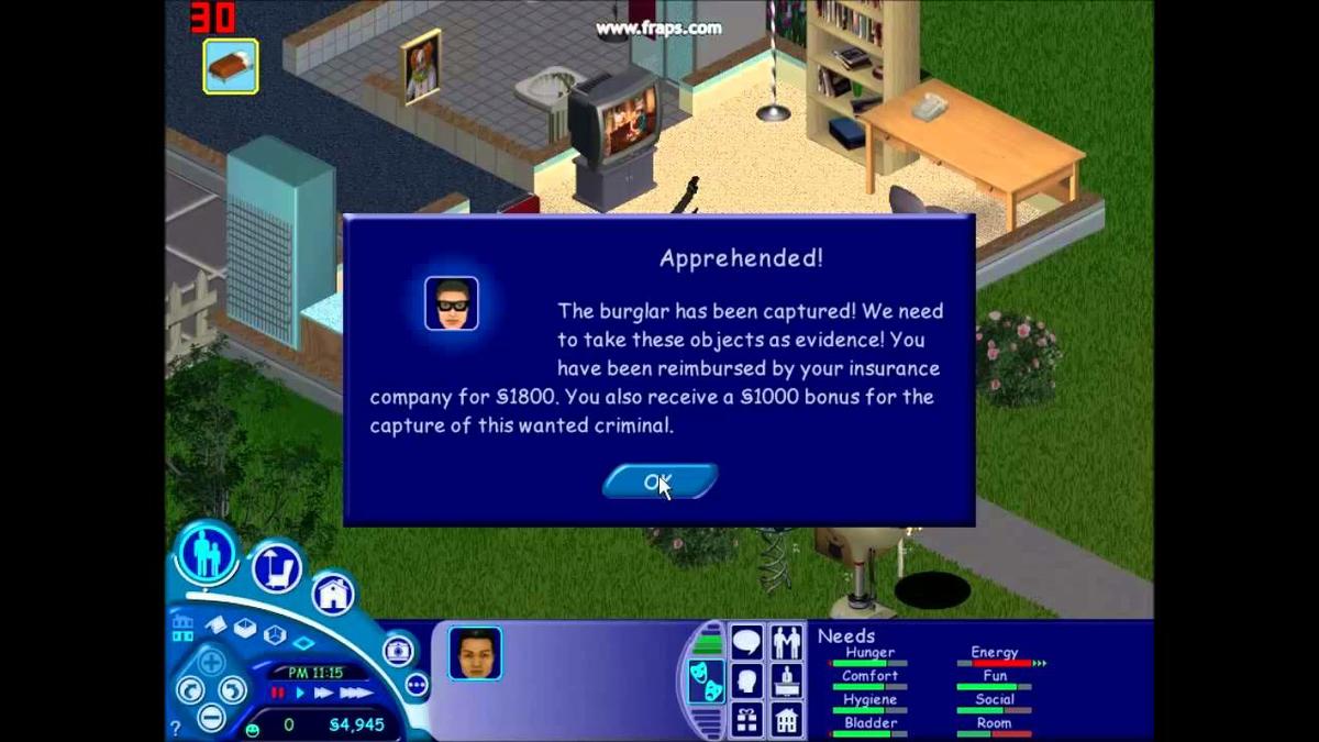 sims13