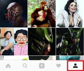 perfil