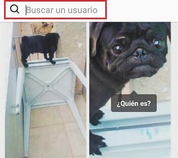 buscar usuarios