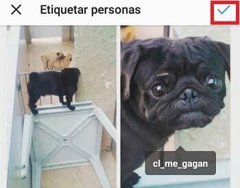 botón continuar