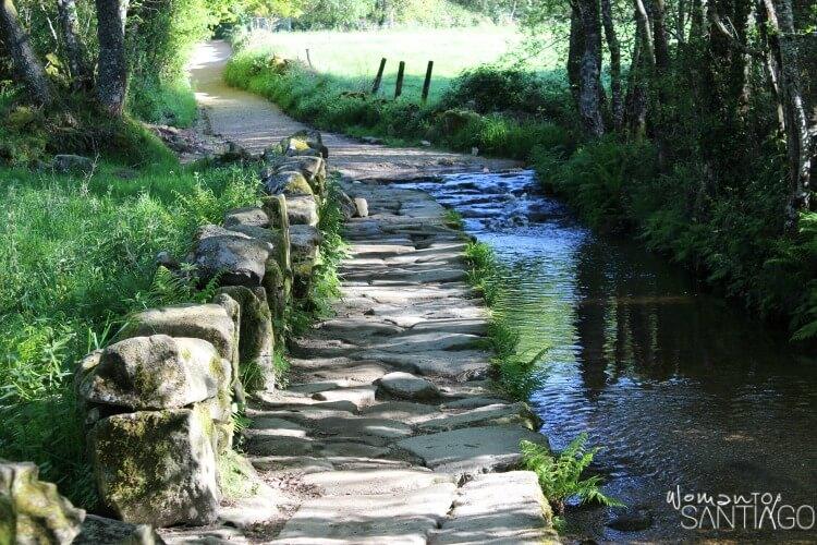 arroyo en el camino