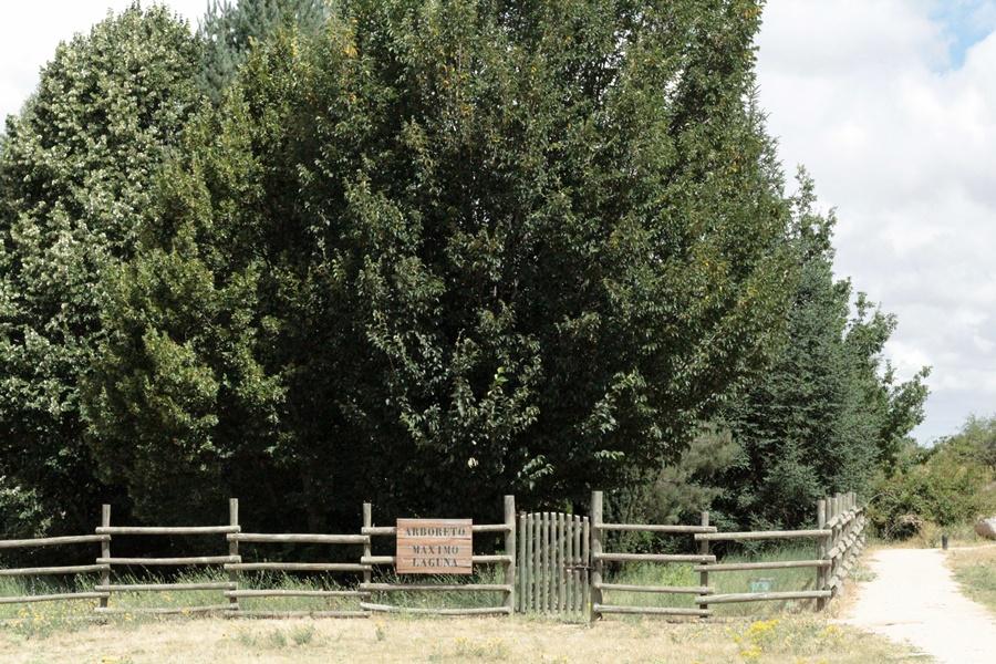 Cuentacuentos CENEAM - centro Valsain 3