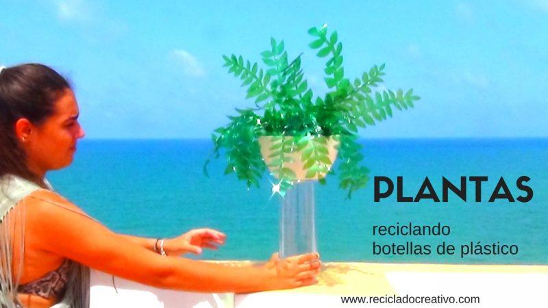 Plantas verdes con botellas de plástico PET