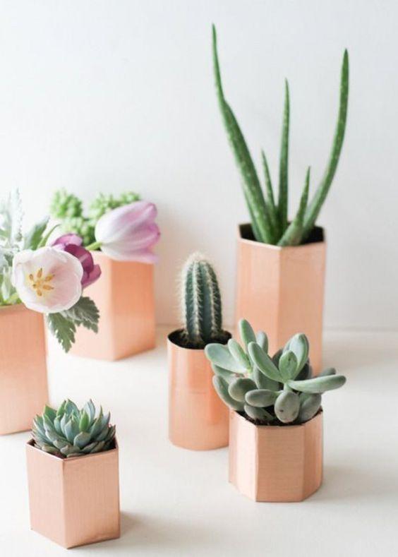 decorar con cactus y suculenta