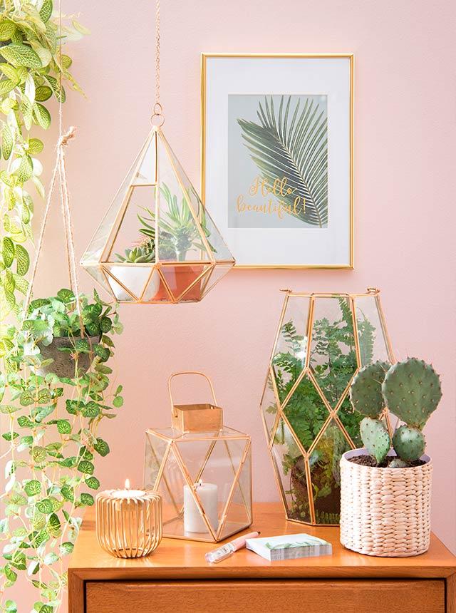 decorar con cactus terrarios