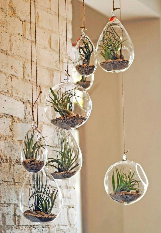 decorar con cactus colgant