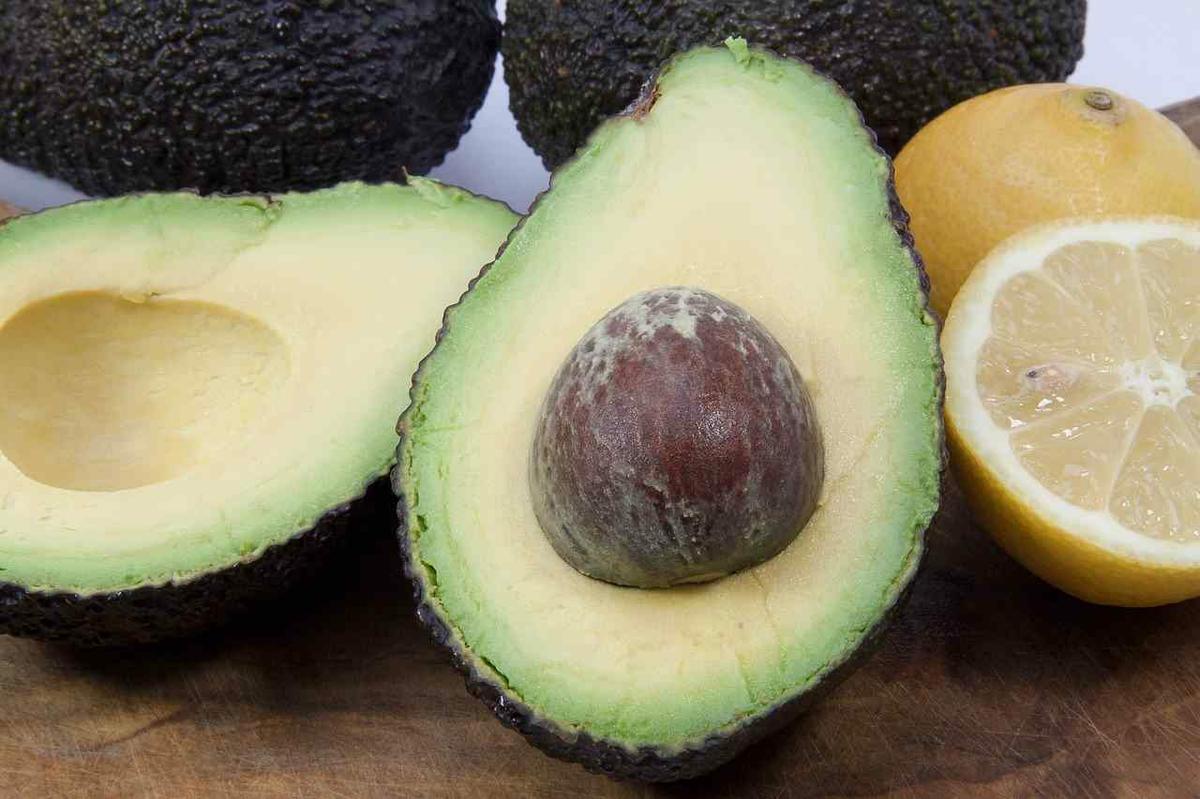 Para que sirve la semilla del aguacate o palta