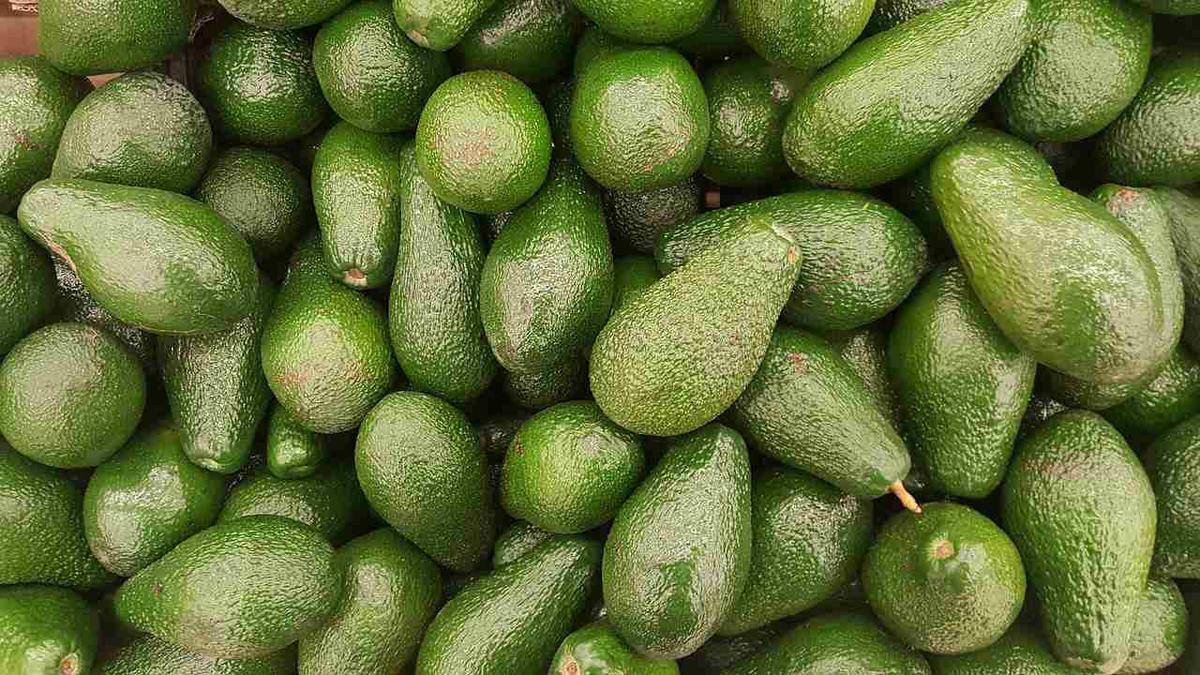 Para qué sirve el aceite de aguacate