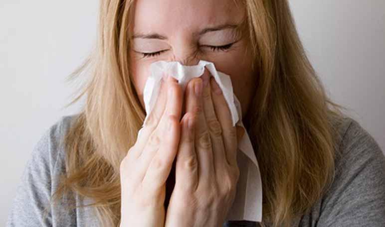 Cómo combatir la alergia al polvo y a los ácaros con remedios caseros