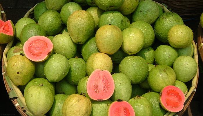guayaba super saludable