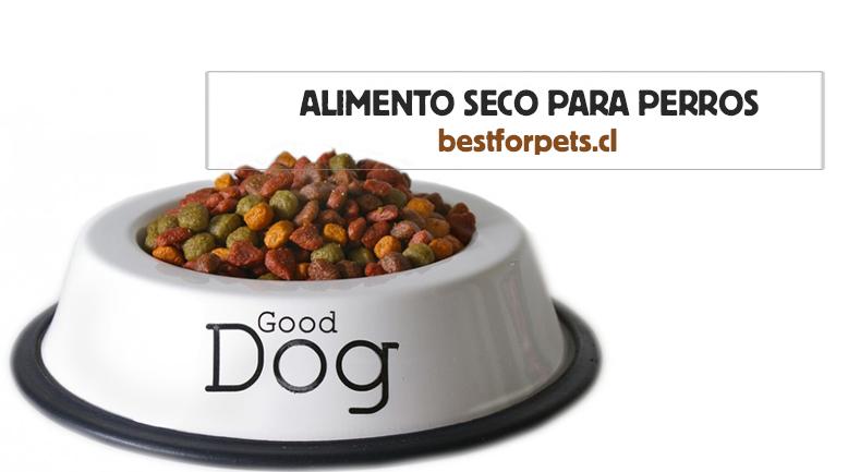 Alimento seco para perros | Best for Pets