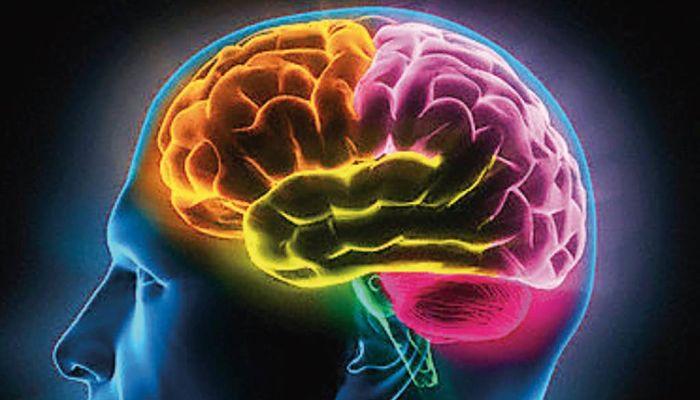 taurina beneficiosa para el sistema nervioso central