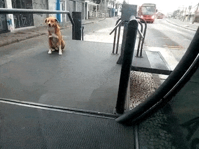 transporte publico 7