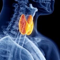 Solucionar problemas de la tiroides con remedios