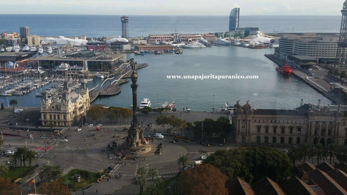 15204140_10211419915639229_790757455_o