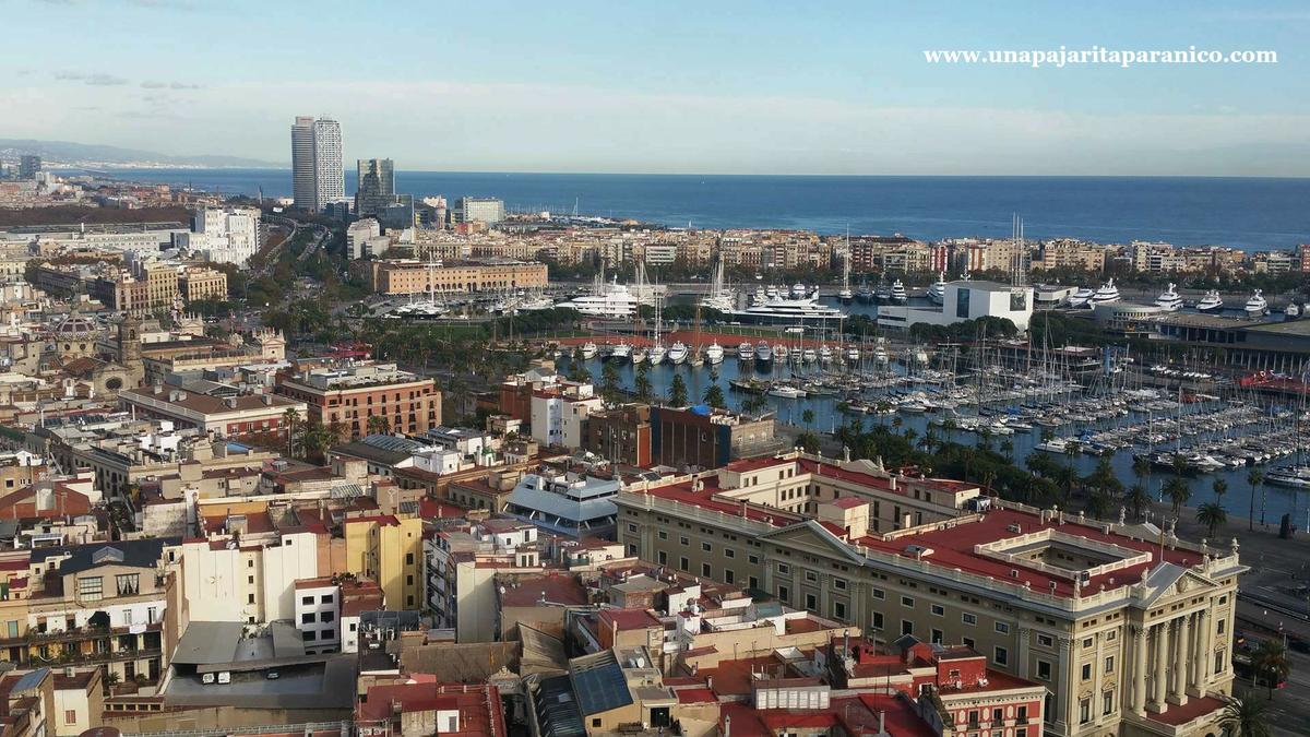 15204098_10211419911679130_2082120448_o