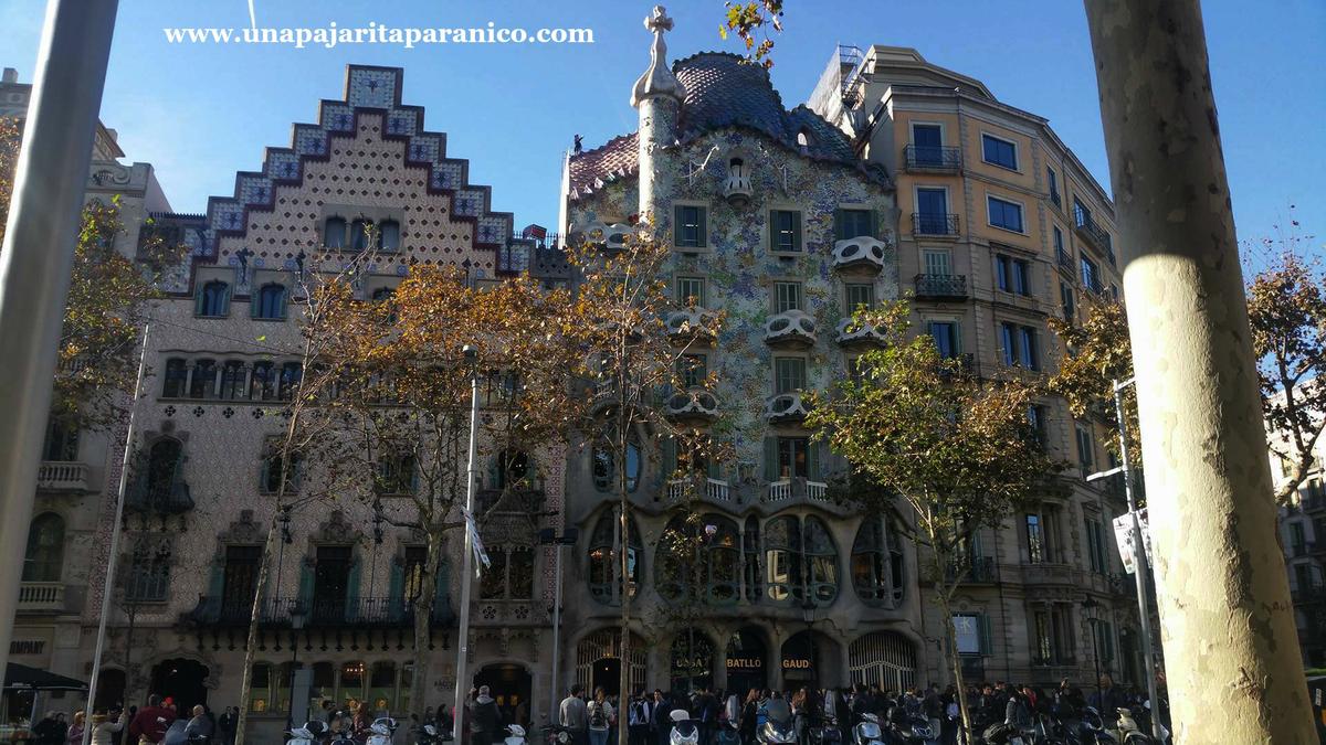 15233628_10211419932479650_1876147221_o