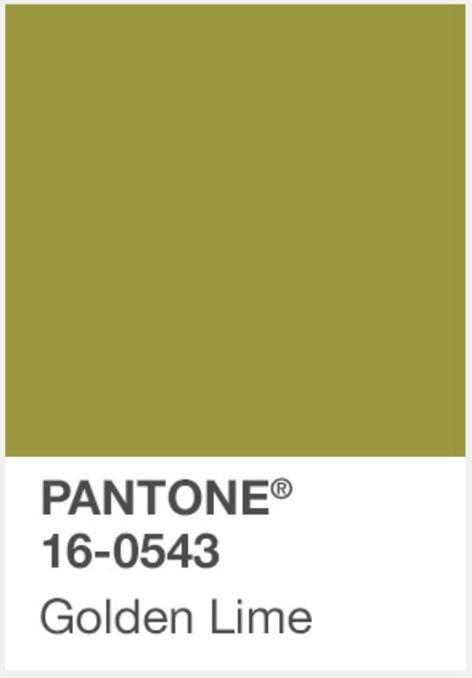 10_colores_tendencia_otoño_invierno_2017_2018_Golden Lime