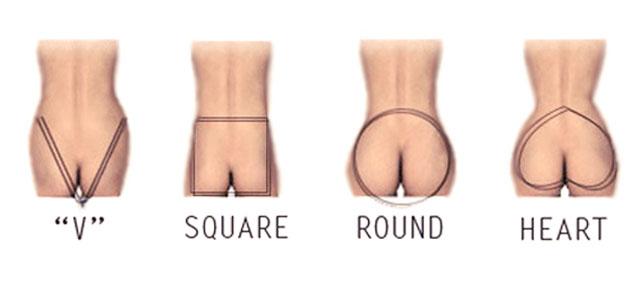 Image result for types ass